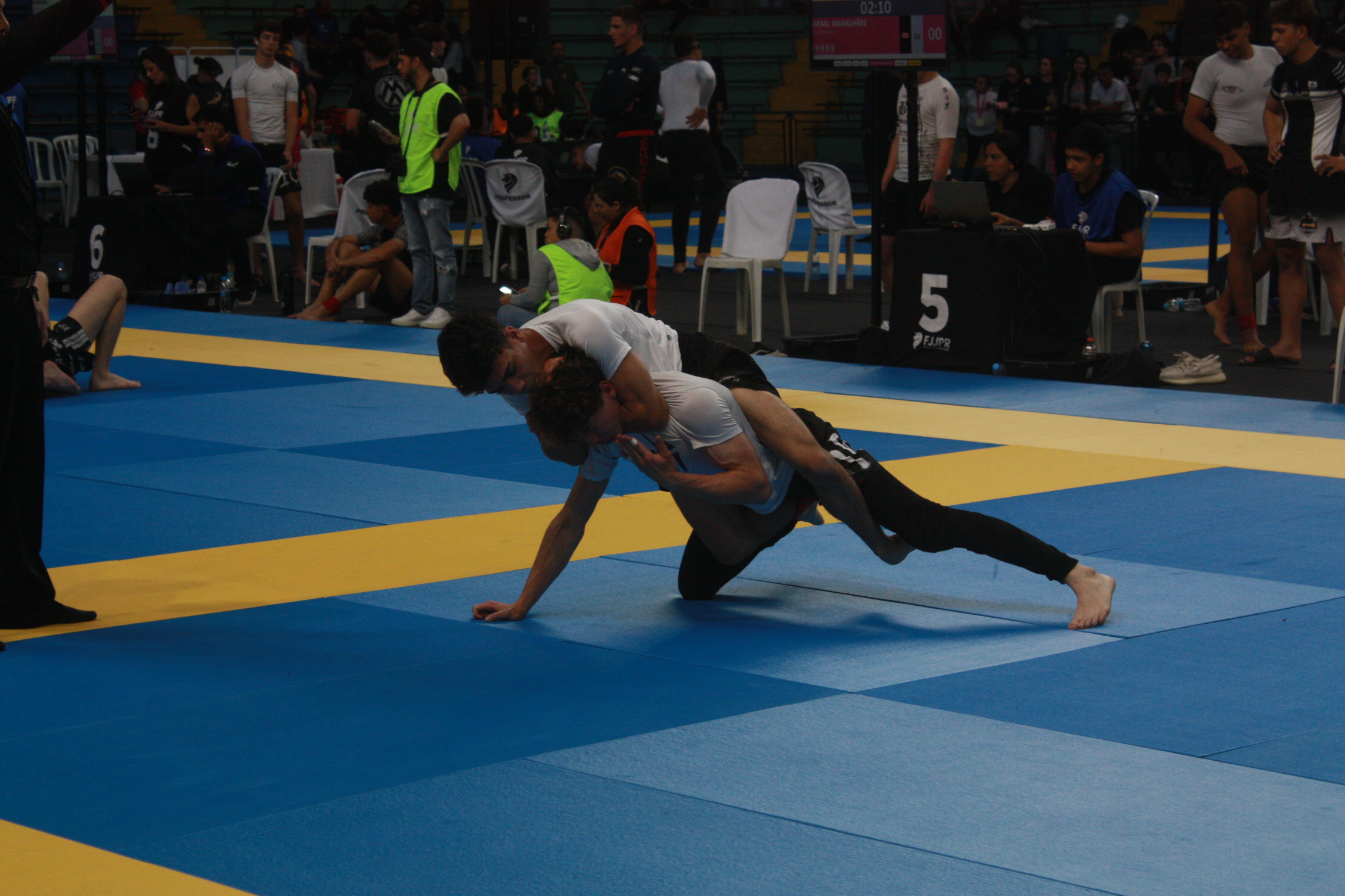 Federação de Jiu Jitsu Paranaense faz último circuito NO-GI do ano 