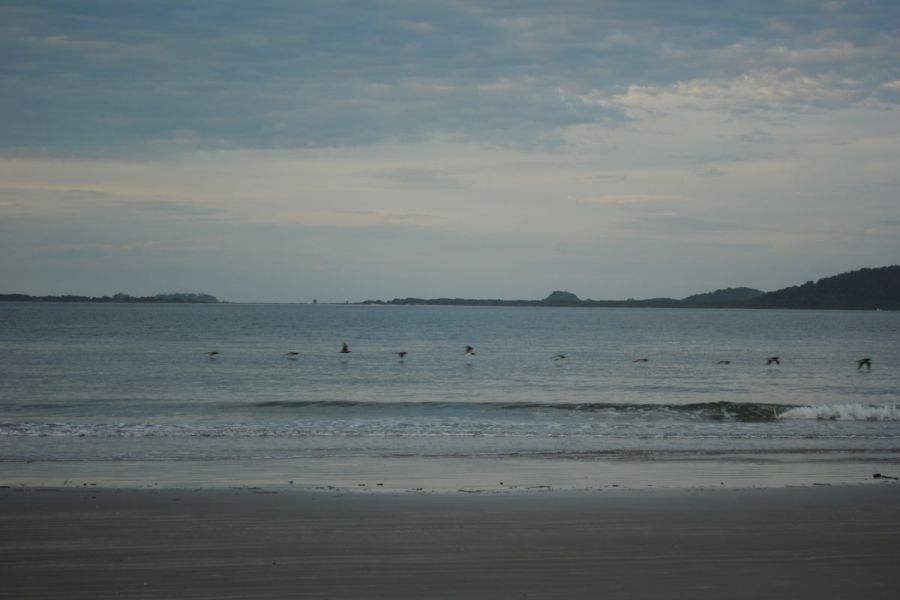 DSC0261