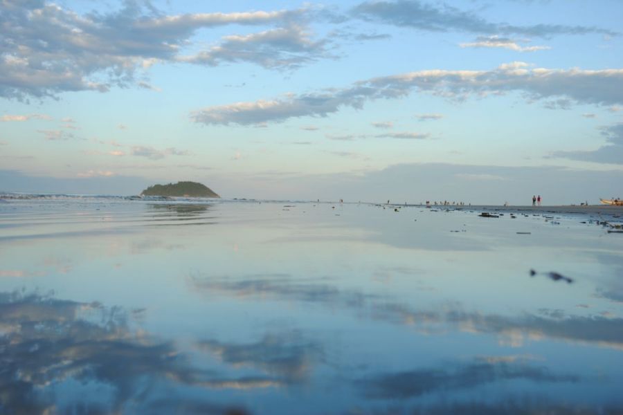 DSC0311