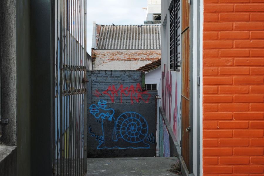 portfolio-4